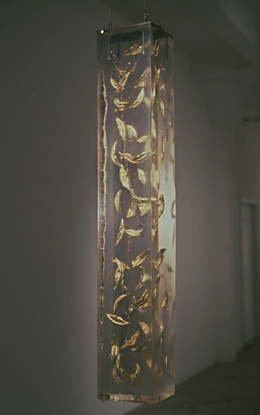 Resin with Lips
