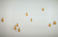 9 Ticks