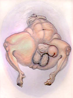 marcus adams painting